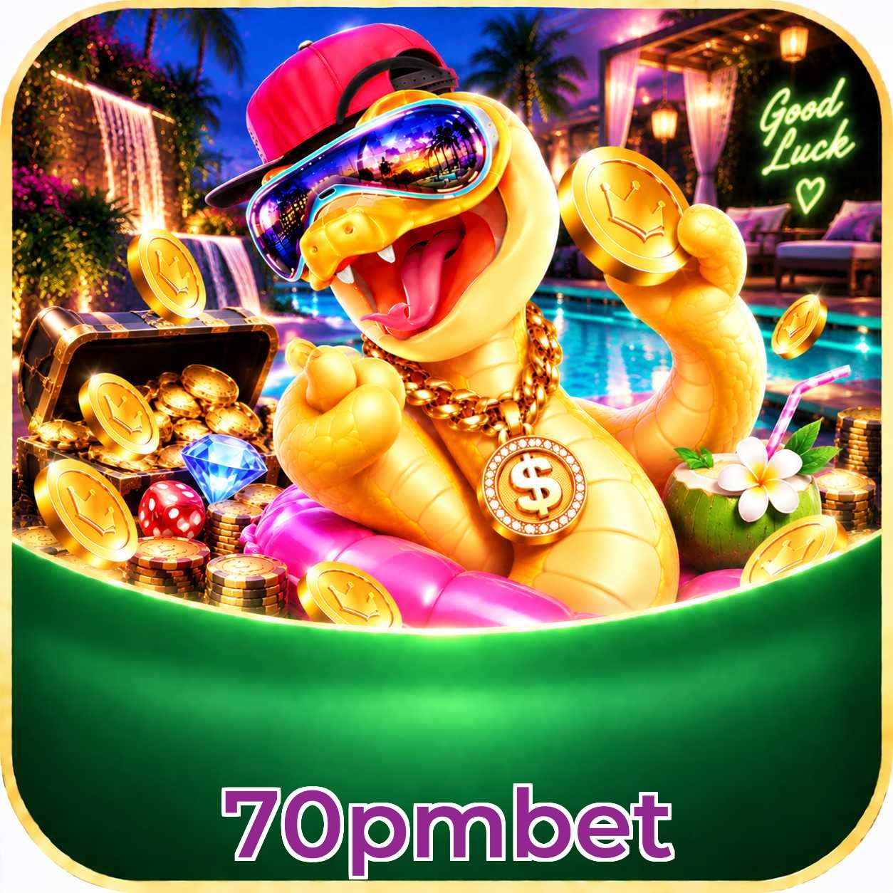 70pmbet App vs Web